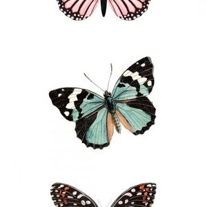 Meet your Posher, Cynthia